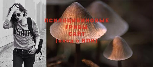 mdpv Баксан